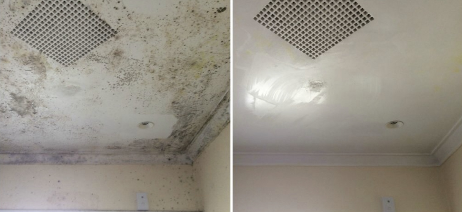 Mould removal/ mould control process – Melbourne Cleaners